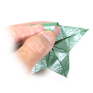 31th picture of Five-sepals supreme origami calyx