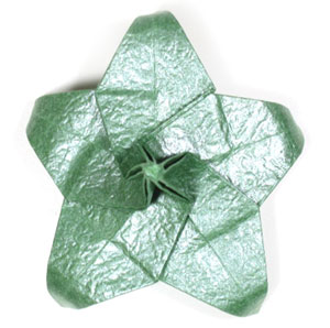 five sepals supreme origami calyx (bottom view)