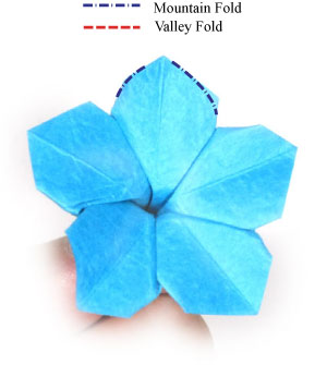 28th picture of origami forget-me-not flower
