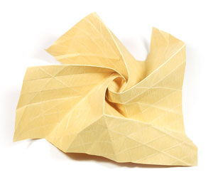Kawasaki
 rose flower 68