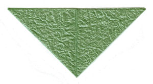 12th picture of seashell origami calyx