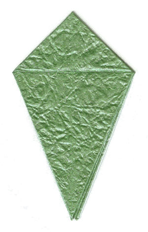 30th picture of seashell origami calyx