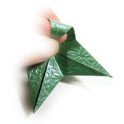 40th picture of seashell origami calyx