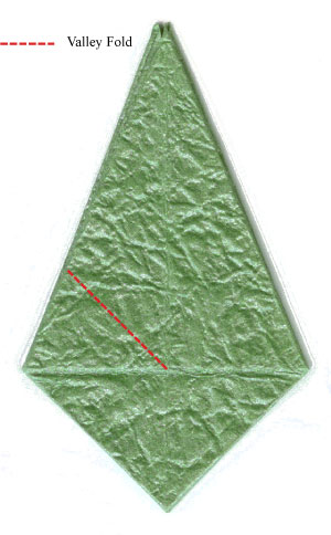 43th picture of seashell origami calyx