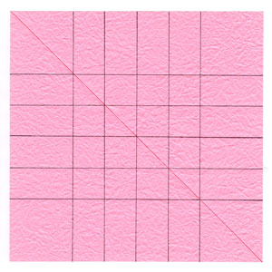 QT rose flower 12