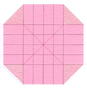 QT rose flower 15
