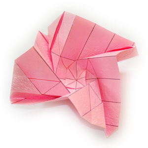 QT rose flower 40