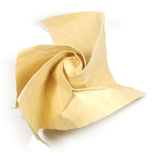 Kawasaki rose flower 70