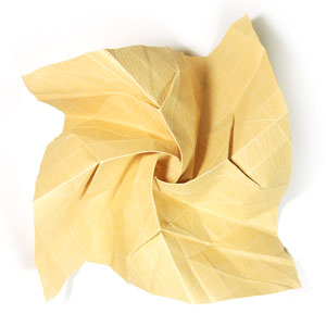Kawasaki rose flower 73