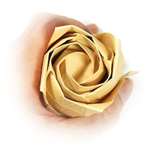 Kawasaki rose flower 74